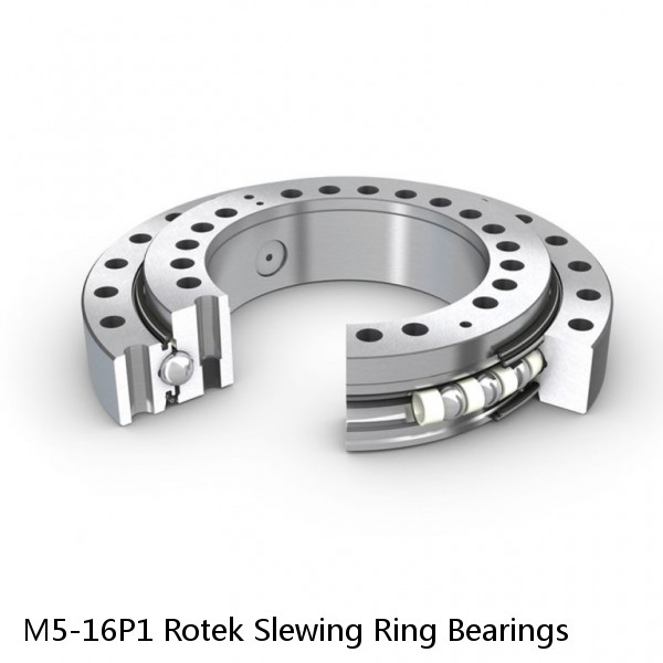 M5-16P1 Rotek Slewing Ring Bearings