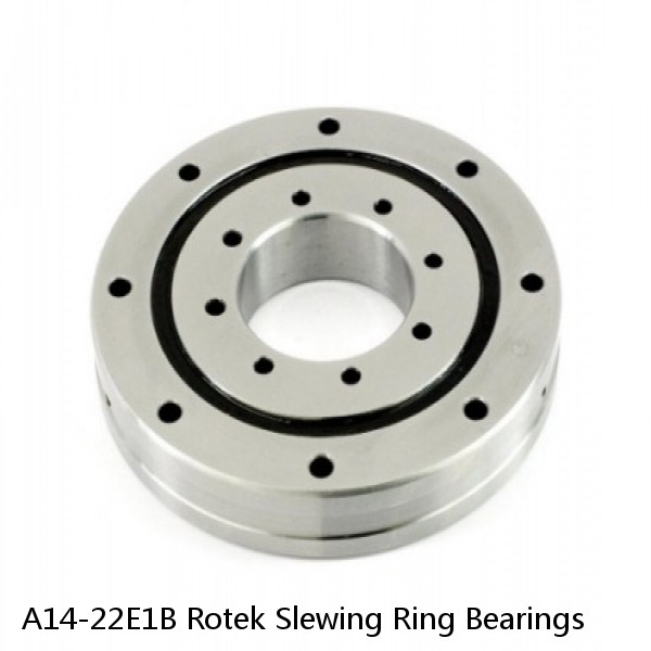 A14-22E1B Rotek Slewing Ring Bearings