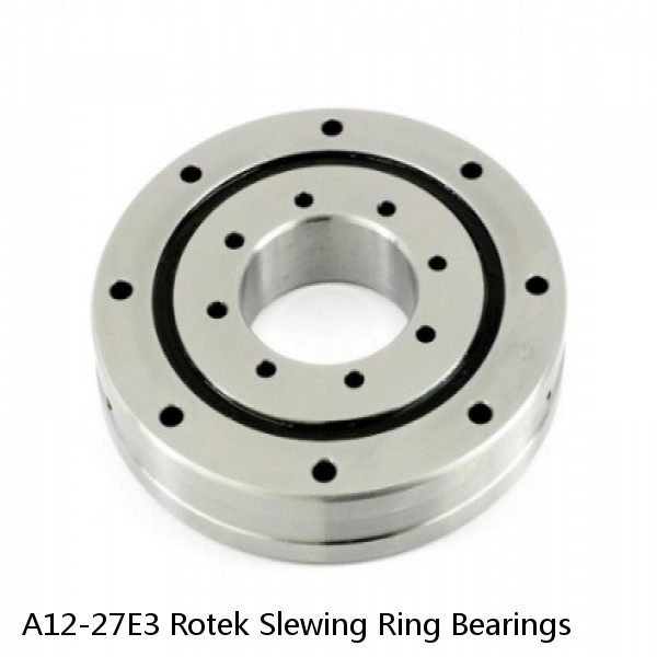 A12-27E3 Rotek Slewing Ring Bearings