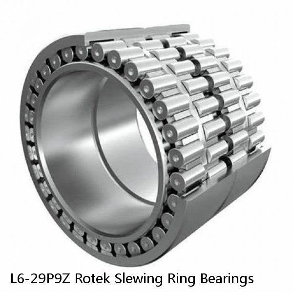 L6-29P9Z Rotek Slewing Ring Bearings