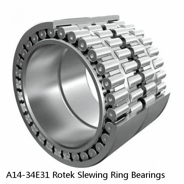 A14-34E31 Rotek Slewing Ring Bearings