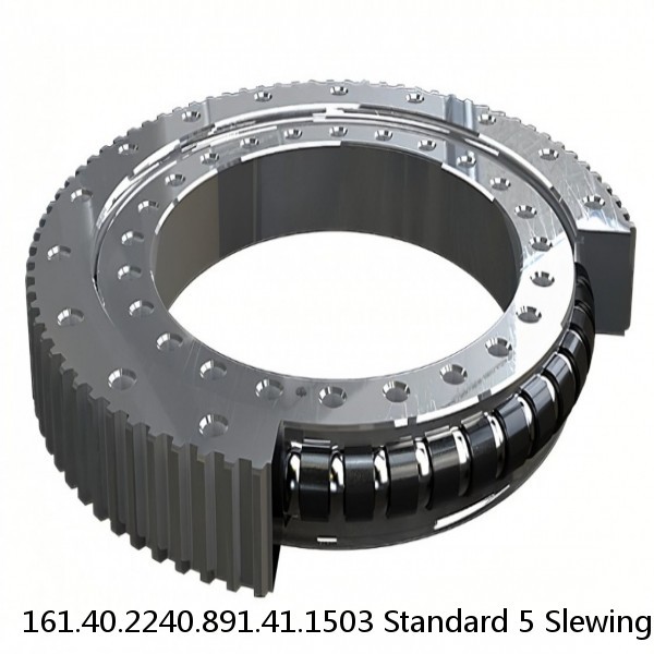 161.40.2240.891.41.1503 Standard 5 Slewing Ring Bearings