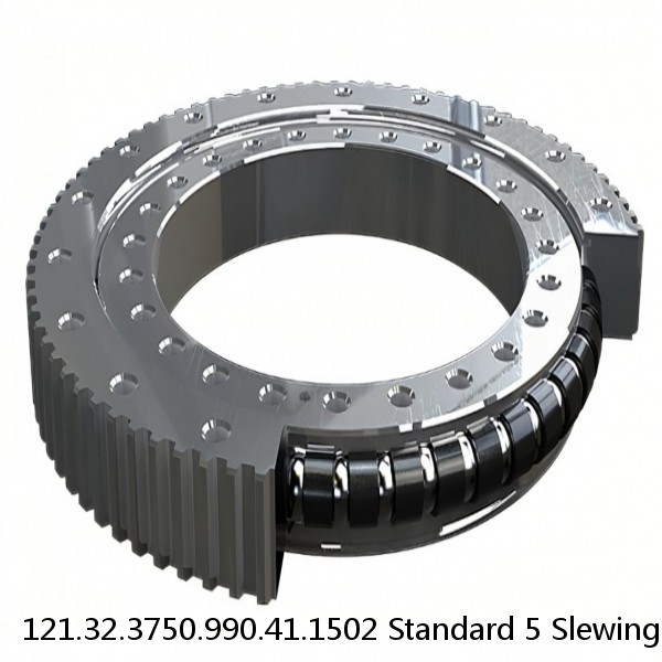 121.32.3750.990.41.1502 Standard 5 Slewing Ring Bearings