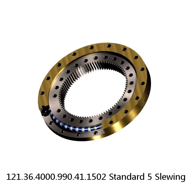 121.36.4000.990.41.1502 Standard 5 Slewing Ring Bearings