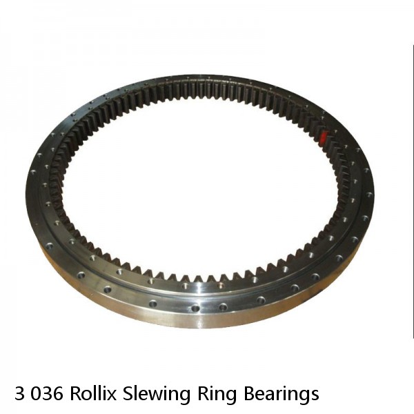 3 036 Rollix Slewing Ring Bearings