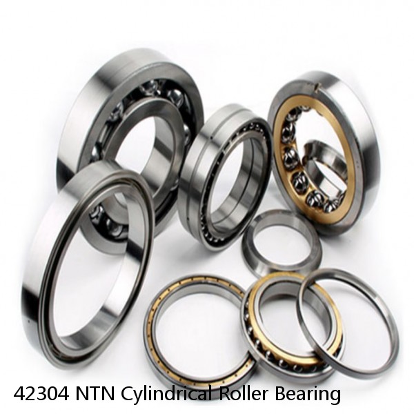 42304 NTN Cylindrical Roller Bearing