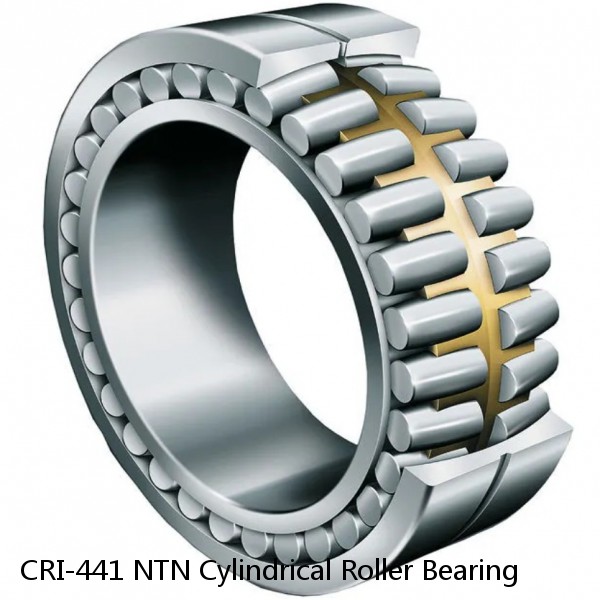 CRI-441 NTN Cylindrical Roller Bearing