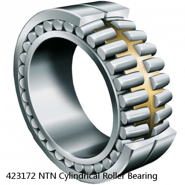 423172 NTN Cylindrical Roller Bearing