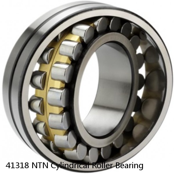 41318 NTN Cylindrical Roller Bearing