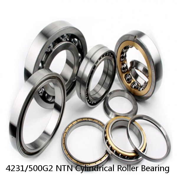 4231/500G2 NTN Cylindrical Roller Bearing