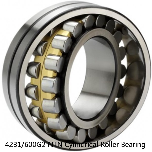 4231/600G2 NTN Cylindrical Roller Bearing