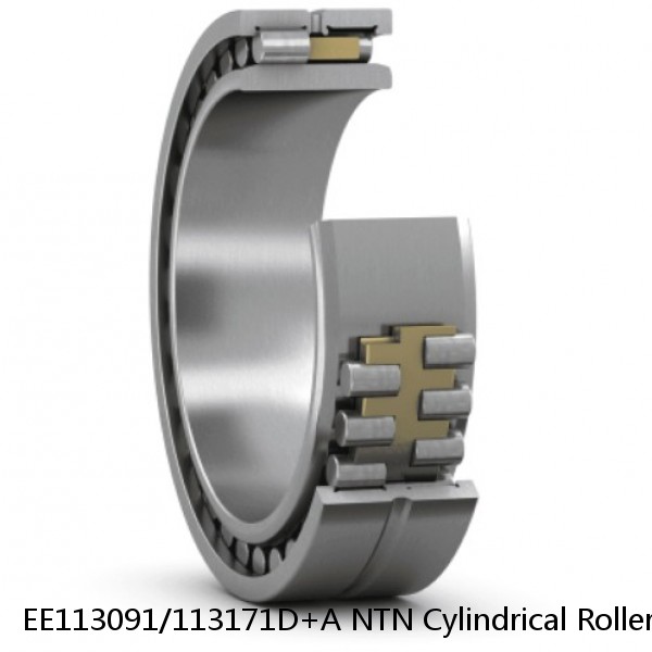 EE113091/113171D+A NTN Cylindrical Roller Bearing